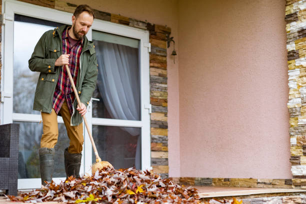 Best Electronics Removal Services  in East Dubuque, IL